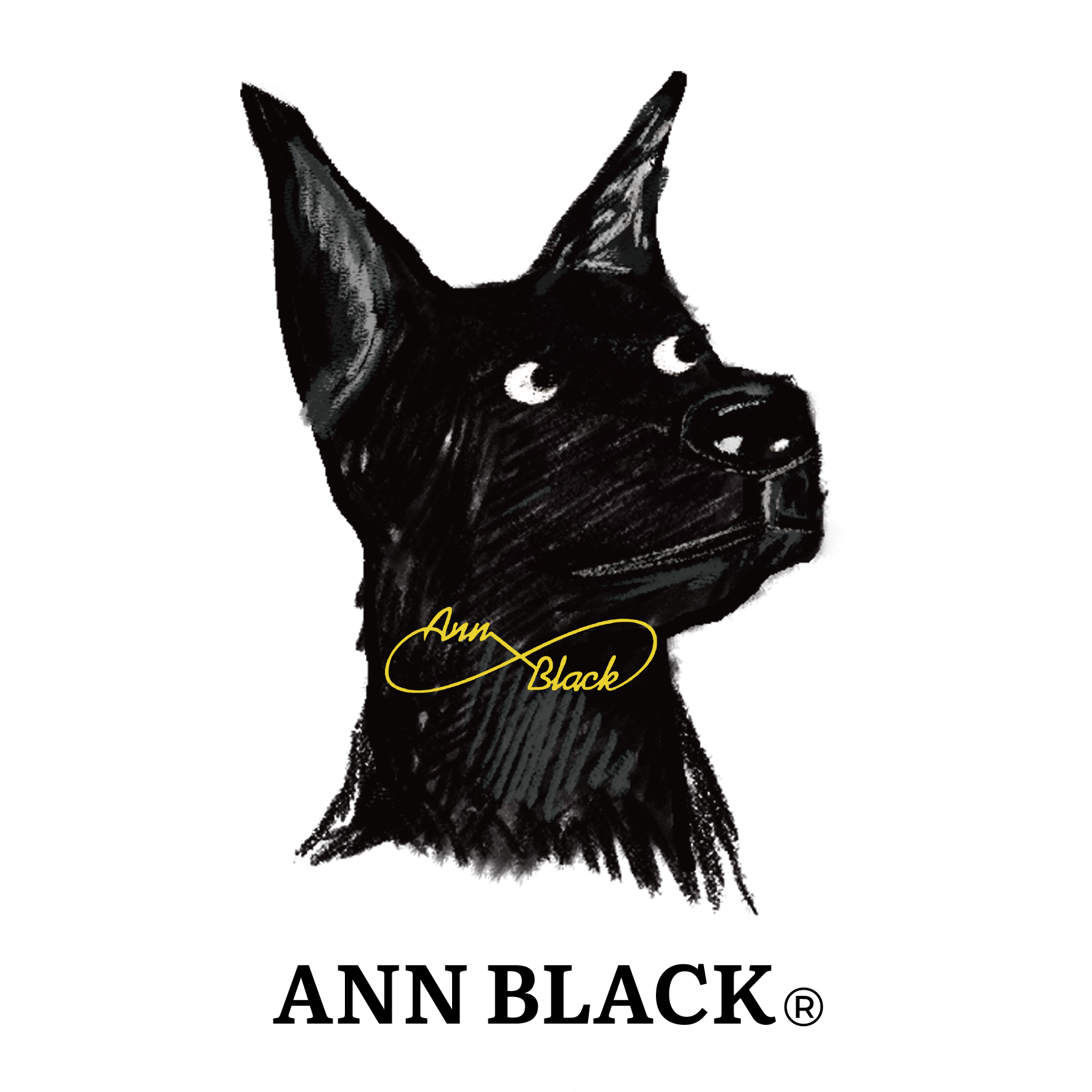 Premium Dog Goggles & Pet Eye Protection Manufacturer