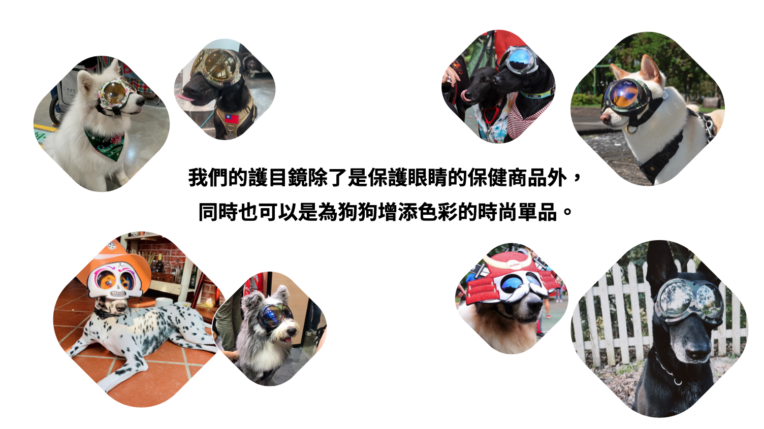 截圖 2024-10-04 凌晨1.18.31